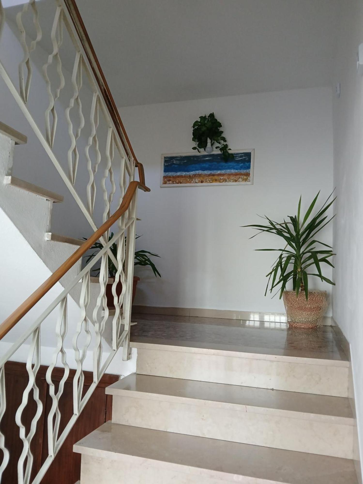 Casa Vacanza Le Due Stelle San Romano  Exterior foto